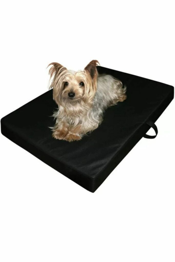 Cama Perro Espuma Cómoda Lavable
