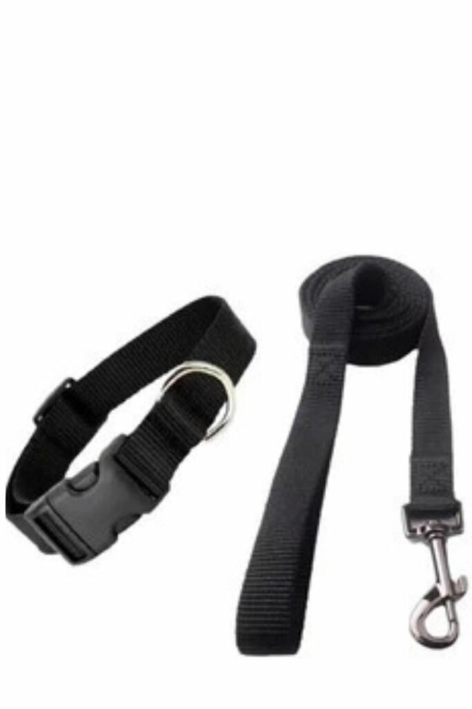 Kit Paseo Collar Correa Para Mascotas