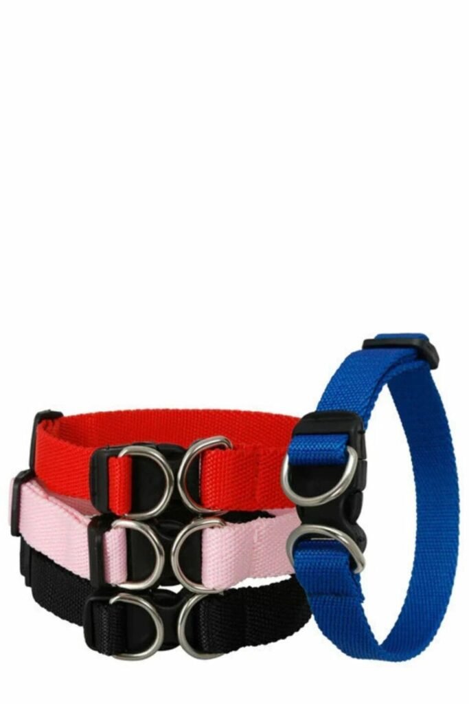 Kit Paseo Collar Correa Para Mascotas