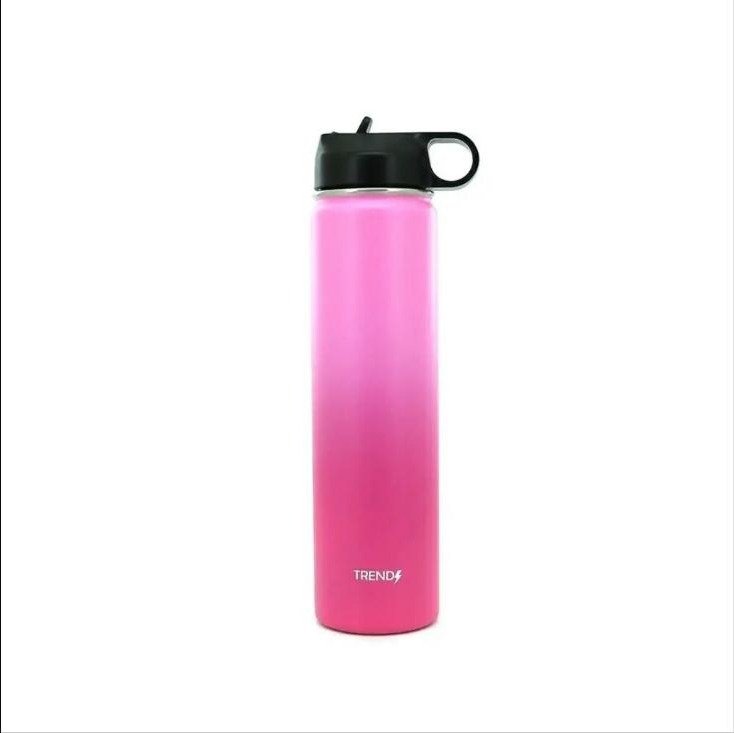 Botella Termica Trendy T4 500 ML Rosa + Fucisa